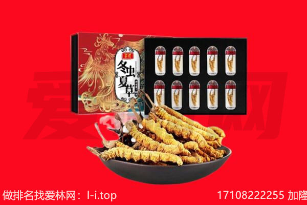 霍林郭勒市回收虫草.jpg